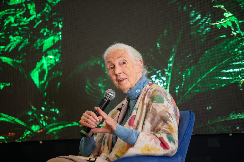 Bupa Jane Goodall 0096 1024x683