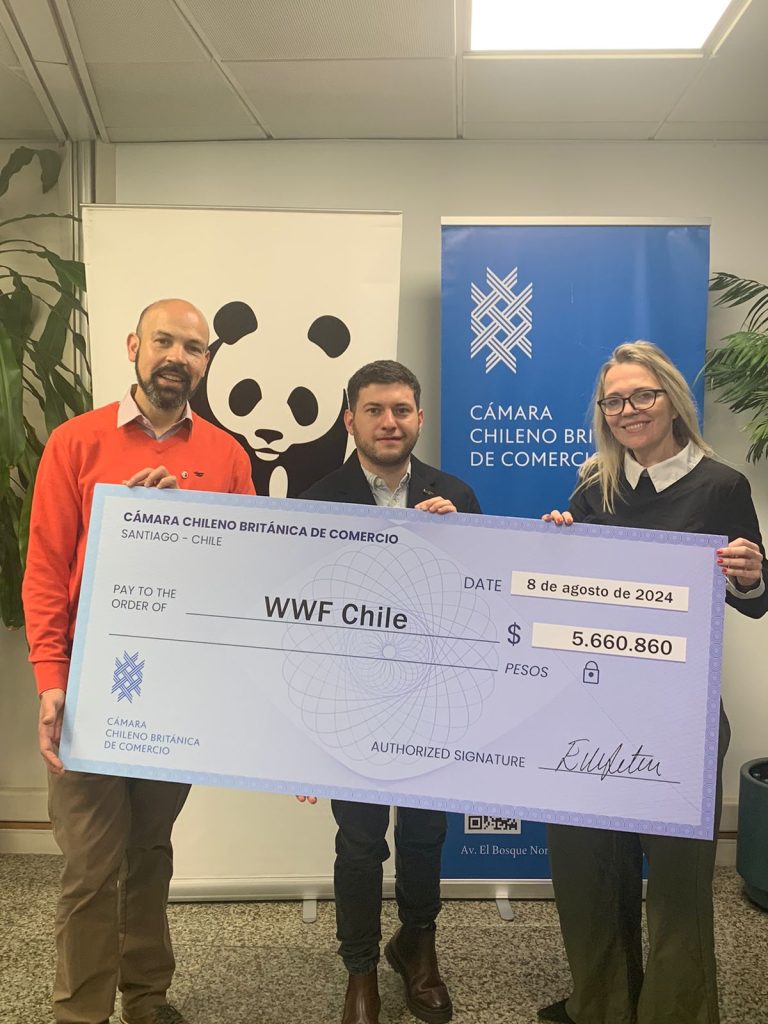 Entrega Cheque Donacion 9 768x1024