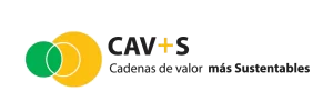 Logo CVS 300x100